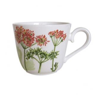 althea nova tea cup price $ 27 00 color no color quantity 1 2 3 4 5 6