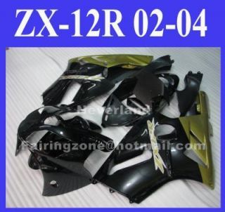 Kawasaki Ninja ZX 12R 02 03 04 zx12r ABS Fairing Kit