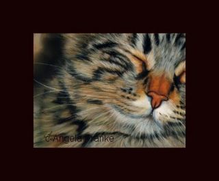 Original Pastel Painting Tabby Katze Calico Cat Pastell Zeichnung Chat