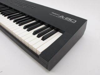 Roland A 80 88 Key MIDI Keyboard Interface Parts Repair