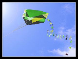 Single Line Parafoil Pocket Kite + Colourful Long Tail in Pouch Easy