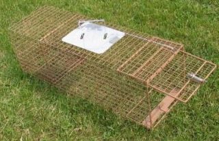 Raccoon Cat Skunk Live Animal Cage Trap Raccoon New Kage All K152 Cage
