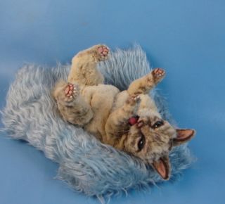 Vintage Mink Fur Artist Lynx Point Siamese Cat Kitten Melisas Bears