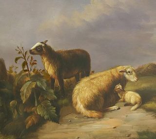Painting of Family of Sheep Frame by Konrad MÖLL