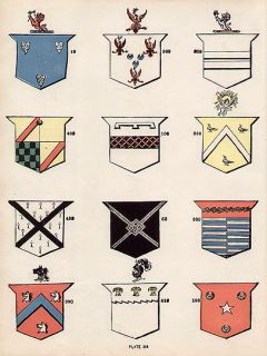 24 Irish SURNAMES Ireland Coats of Arms 100 Year Old Antique Print