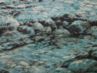 Water River Rocks Stream Landscape South Sea Fabric Yd