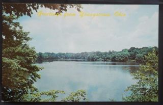 MILL CREEK PARK Youngstown Ohio  1960s vintage greetings postcard