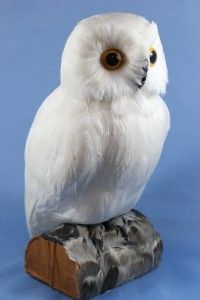 New Large Perched White Wise Hoot Owl Statue Figurine w Feathers Faux