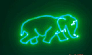 Elephants Walking   Scanning laser 250+ Gobos CLS 310 598 8413