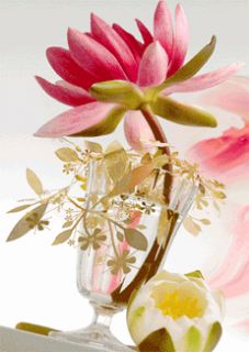 Enjoy a beautiful 3D image of Water Lilies in a glass vase.