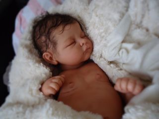 Rebornbabys Nursery Andrea Ethnic Reborn Baby Linda Murray