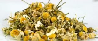 Chamomile Flowers Whole   Premium Organic Loose Tea   1/2 Pound   Free