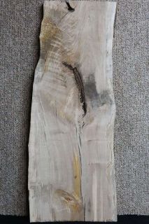 Fiddleback Figured Smoky Spalted Maple Taxidermy Mount Lumber Slab 475
