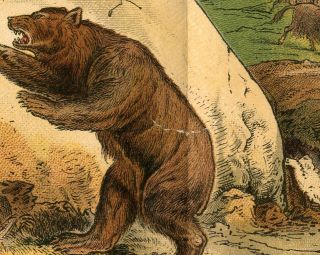 1880 Prehistoric People Mammoth Cave Bear Deluvian Landscape