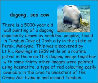 Dugong Sea Cow Pig Choco Egg Animal Figure Japan Gift Furuta Kaiyodo