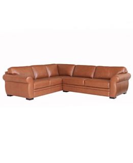 Carmine Leather Sectional Sofa, 2 Piece (Sofa and Apartment Sofa) 113