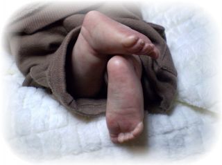 Sweet Reborn Baby Boy from Bundles of Babies Nursery