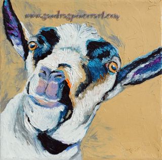 Original Oil Painting Alpine Goat Art 12x12 Fun Pet Portrait Farm