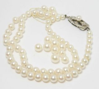 Mikimoto Pearls with Clasp Box Restring Or