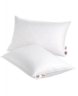 Pacific Coast Bedding, EvenRest Pillow   Pillows   Bed & Bath