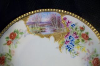 Hand Painted Antique Gold Cartouche Meadow Lake Plate