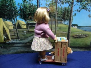 Great American Girl Doll Kits Scooter California Orange Crate w Doggy