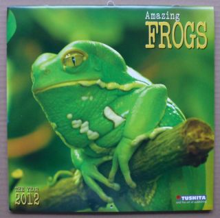 Amazig Frogs 30x60 Wand Kalender 2012 NEUUnglaubliche Froesche