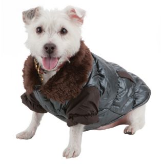 Clothing & Accessories   Dog