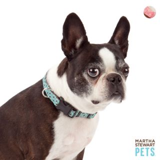 Martha Stewart™ Bone Print Dog Collar   Dog   Boutique
