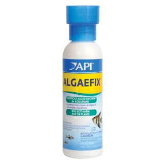 API AlgaeFix   Sale   Fish