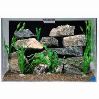 Medium Aquariums for Fish and Related Fish Accessories