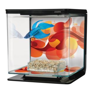Aquarium Kits   Get Your Fish Tank Starter Kit