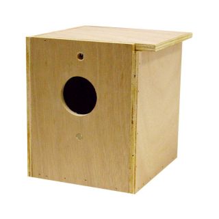 Bird Nest, Nest Box, and Nesting Supplies