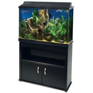 Small Aquariums for Sale   Perfect Tanks for Small Fish