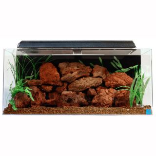 Large Fish Aquariums and Related Fish Tank Accessories