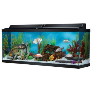 50 Gallon Fish Tank  Top Fin 50 Gallon Aquarium Hood Combo