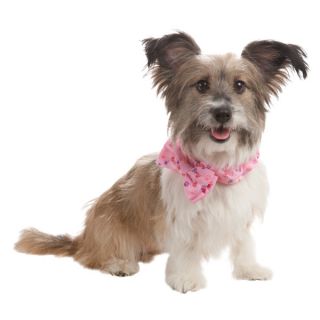 Luv A Pet™ Paw Bow Tie    Clothing & Accessories   Dog