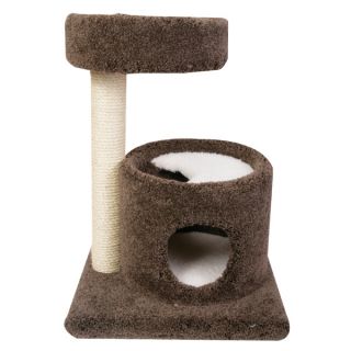Whisker City Cozy Condo Cat Perch   Sale   Cat
