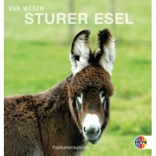 Sturer Esel 2010. Postkartenkalender Bücher