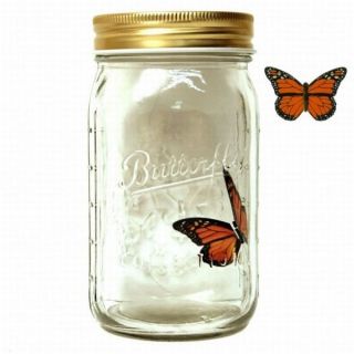 fliegender Schmetterling im Glas oranger Monarchfalter