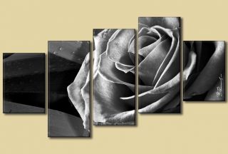 Rose in schwarz weiß Bild . XXL 5 Bilder . Wandbilder