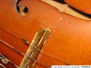 schöne hochwertige alte Geige Vogelaugen Ahorn Ladislav F. Prokop