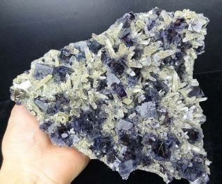 Super MineralienTOP Phantom FLUORIT,Bergkristall,Arsenopyrit