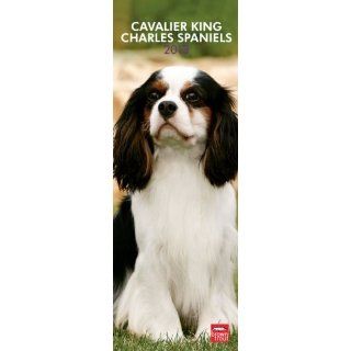 Cavalier King Charles Spaniels 2013   Original BrownTrout Kalender