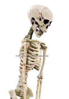 hoehe 153 cm figur zum haengen oder legen skelett besteht aus