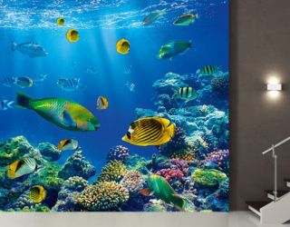 Fototapete Underwater World Unterwasserwelt Fische Korallen Pflanzen