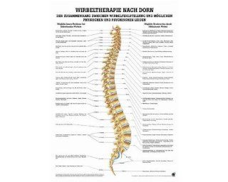 Anatomie Poster   Wirbeltherapie nach Dorn, Tafel 50 x 70 cm