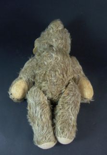 alter Teddy Bär mit ausgeprägtem Buckel   40cm