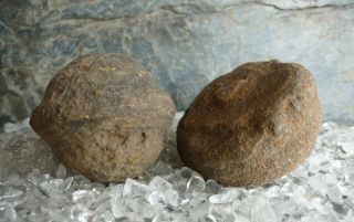 Moqui Marbles (lebende Steine) 296 Gramm Moquis