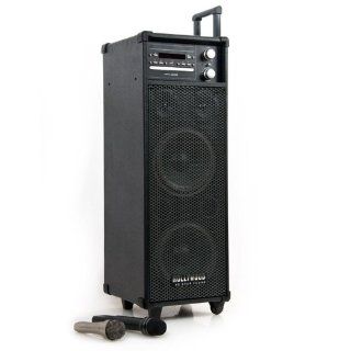 PA DJ System Soundsystem Radio Lautsprecher HOLLYWOOD DVD USB Wireless
